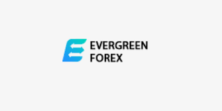 Evergreen Forex Global Limited